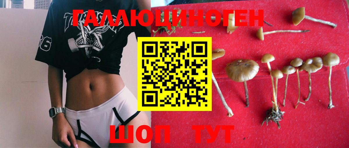 Псилоцибиновые грибы мицелий  Вход с VPN  где купить наркотик  Юрга 